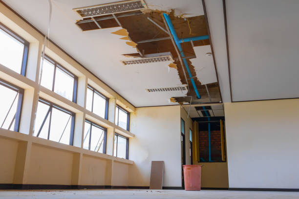 Best Sewage cleanup and water damage restoration  in Bradford, PA