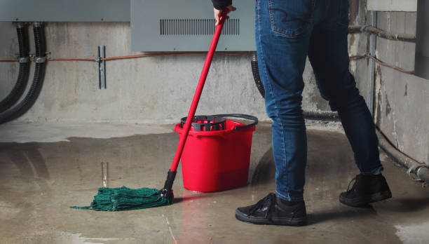 Best Water damage contractors near me  in Bradford, PA