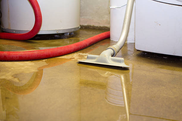 Water damage restoration mold remediation in PA