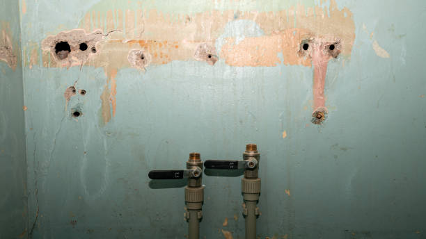 Best 24/7 water damage repair  in Bradford, PA